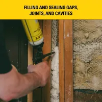 F 905P FOAM SEALANT GAPS & CRACKS PRO